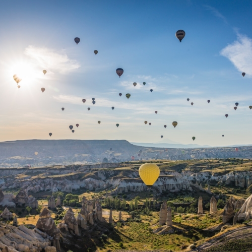 hot air balloons flying over city during daytime